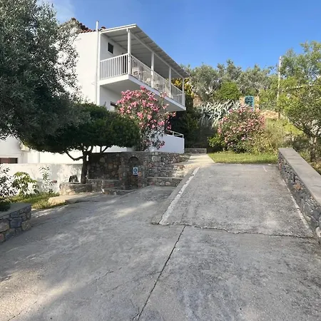 Golden Evelyn 아파트호텔 아기아 파라스케비